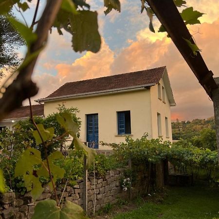 Casa Foresti 벤투곤살베스 외부 사진