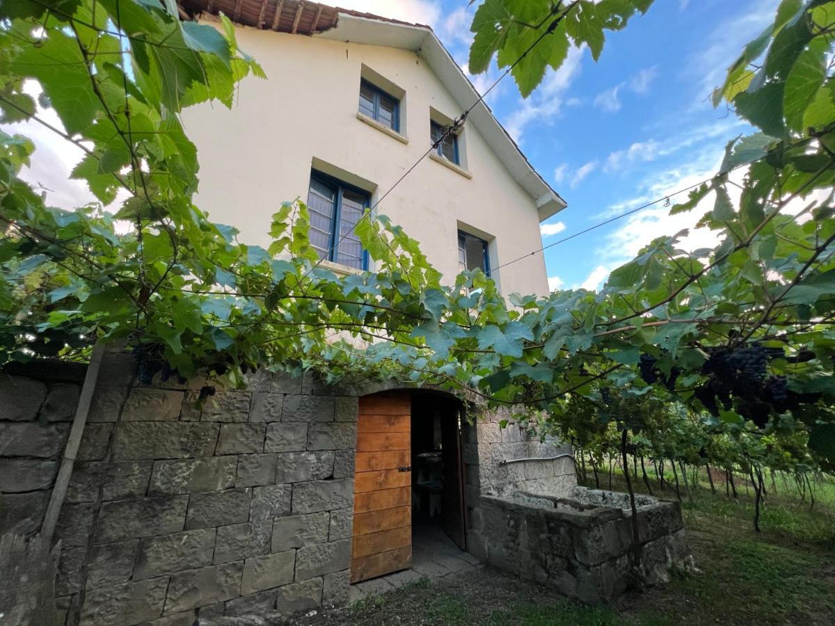 Casa Foresti 벤투곤살베스 외부 사진